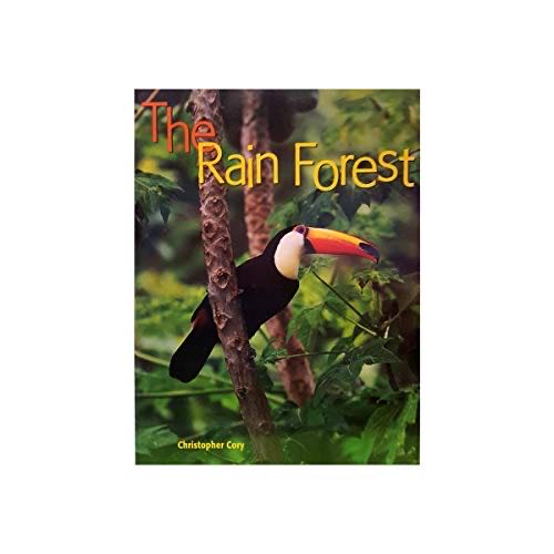 The Rain Forest