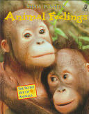 Animal Feelings - Sylvia Funston (Maple Tree Press) book collectible [Barcode 9781895688818] - Main Image 1