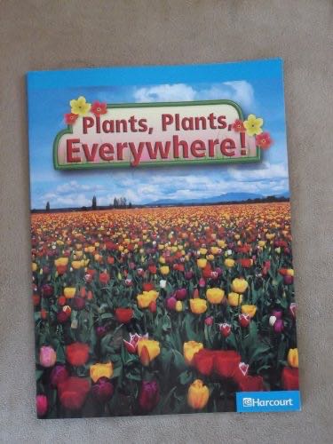 Plants, Plants Everywhere!