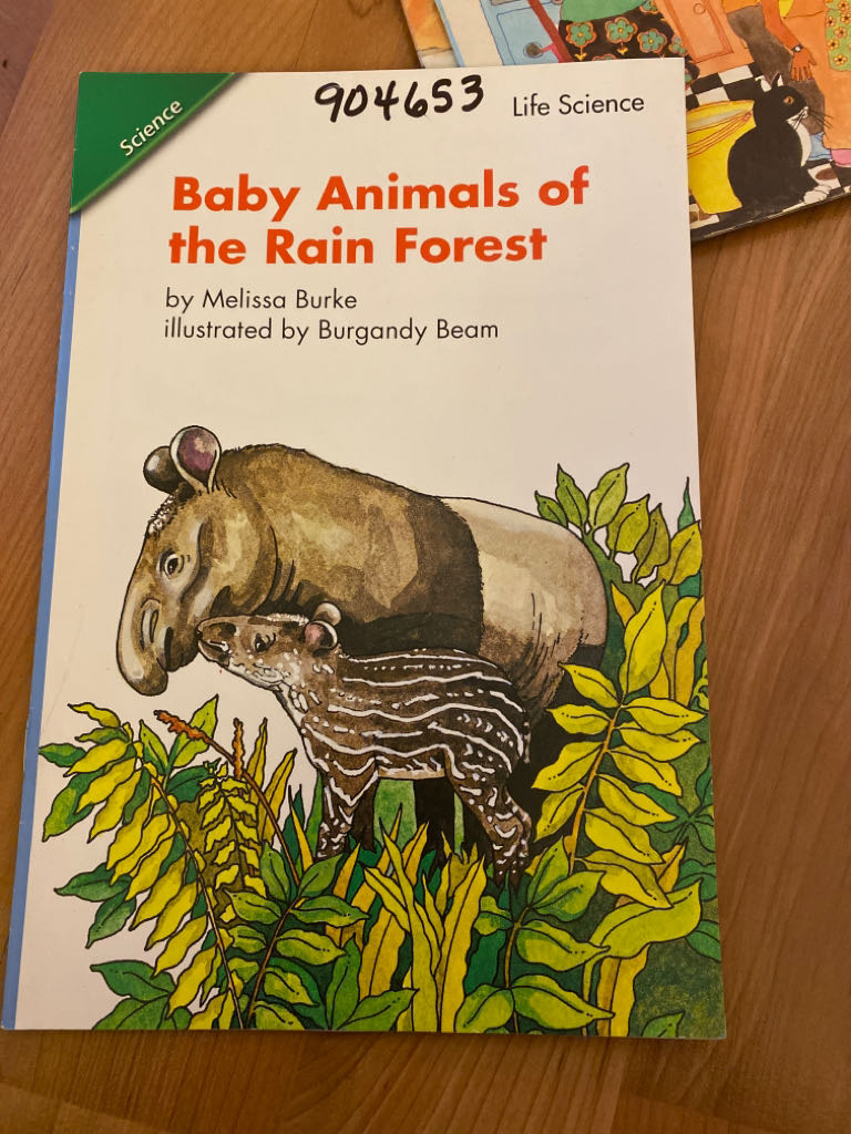 Baby Animals Of The Rain Forest - Melissa Burke book collectible [Barcode 9780328131532] - Main Image 1
