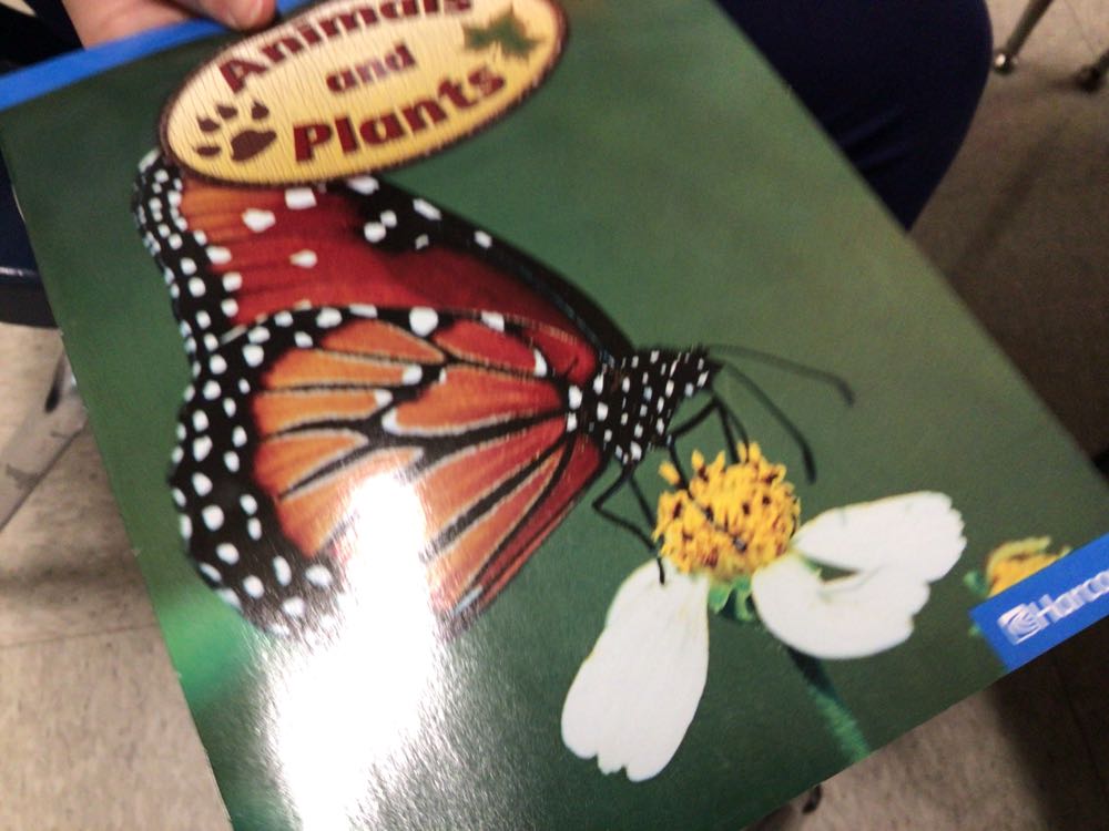 Animals and Plants