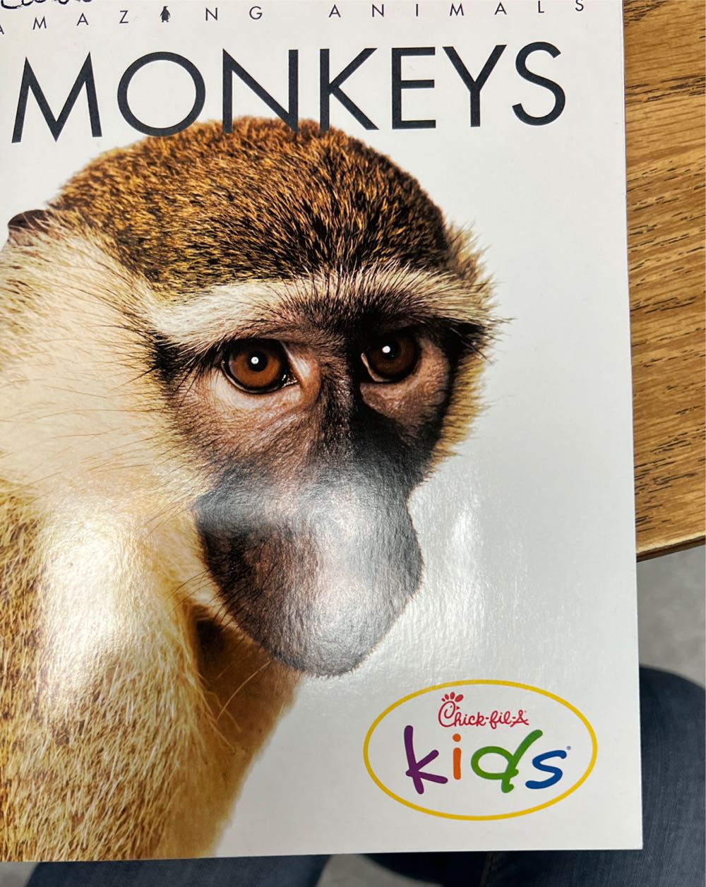 Amazing Animals Monkeys