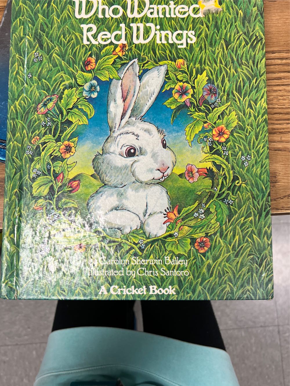 The Little Rabbit who Wanted Red Wings