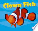 Clown Fish