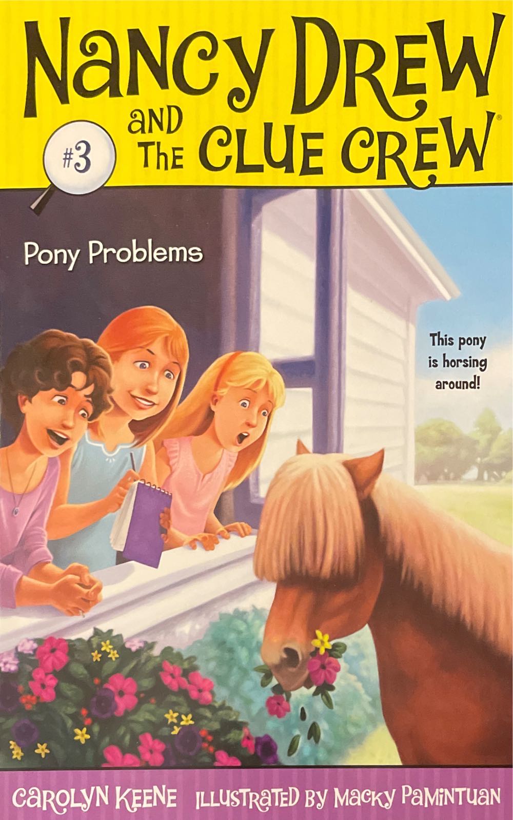 Nancy Drew and the Crew # 3: Pony Problems
