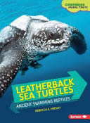Leatherback Sea Turtles