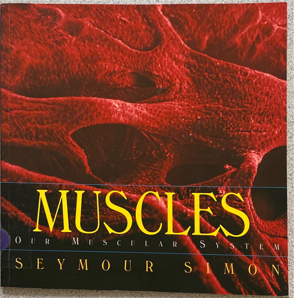 Muscles: Our Muscular System