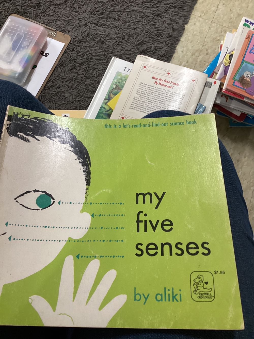 My Five Senses