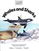 Whales and Sharks