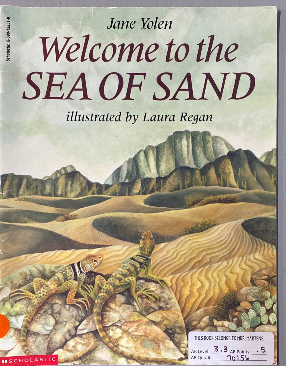 Welcome To The Sea Of Sand