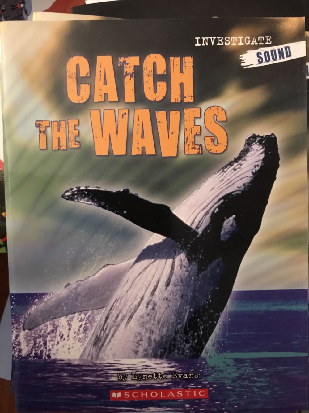 Catching the Waves: Investigate Sound