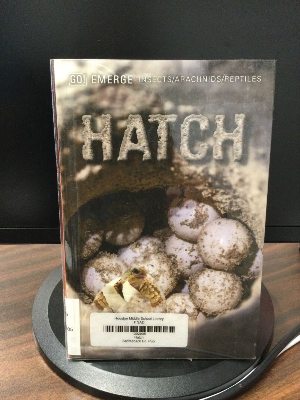 Hatch