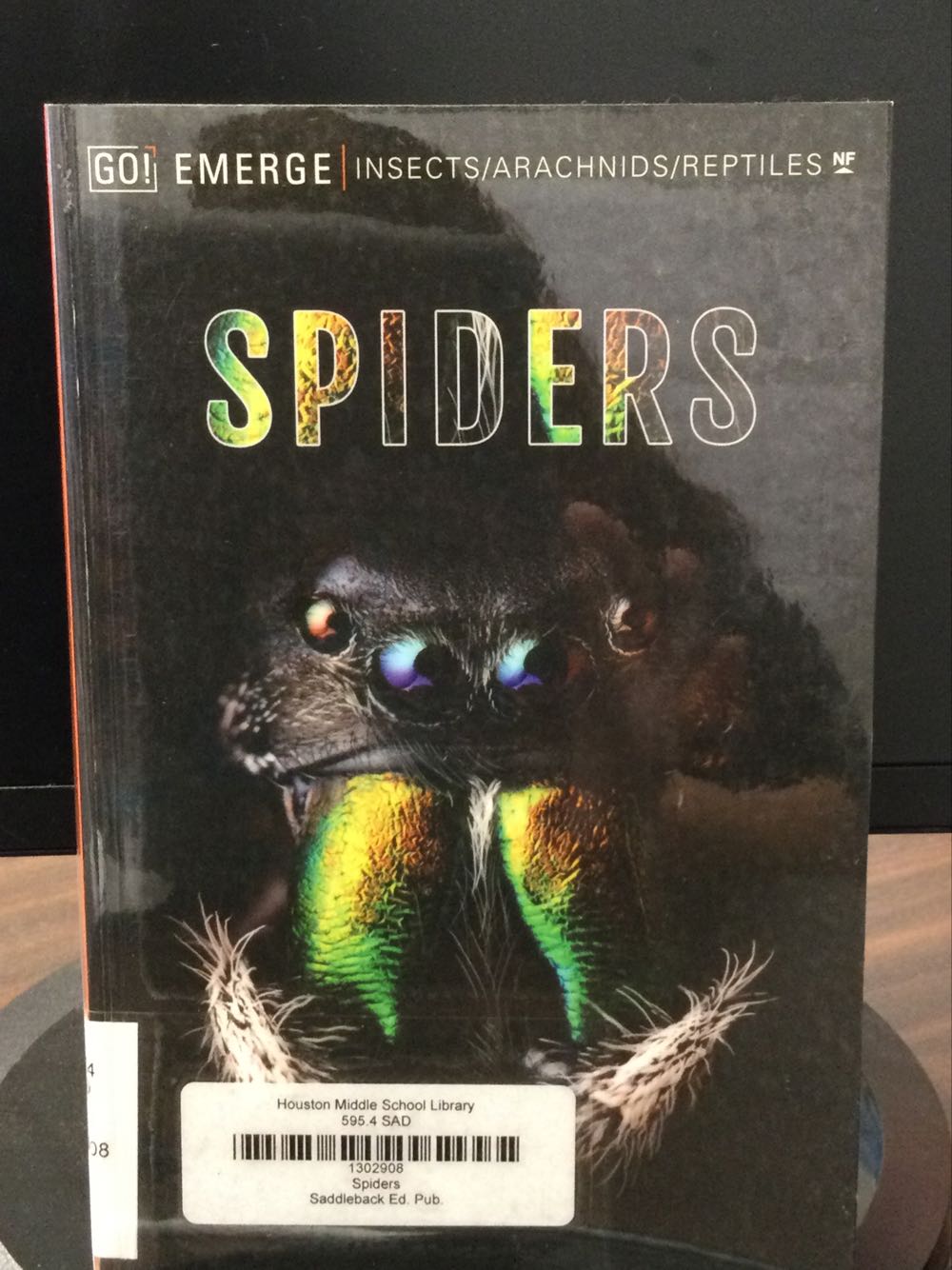 Spiders