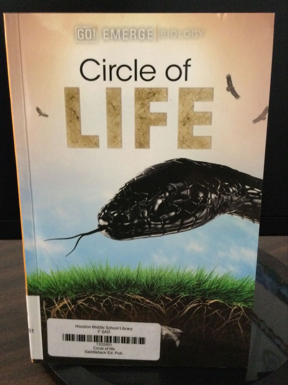 Circle of Life