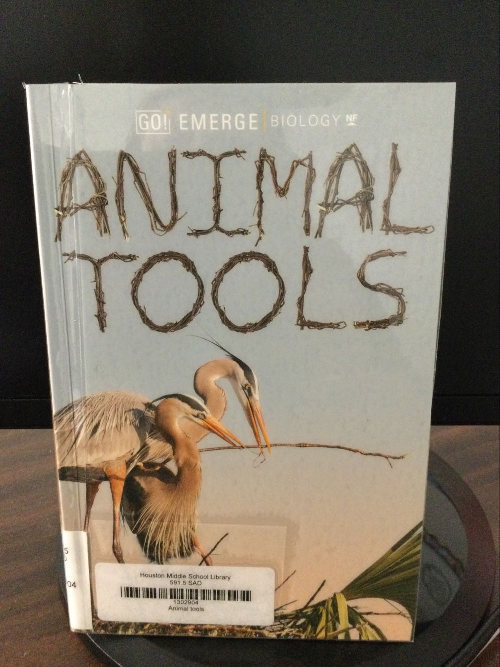 Animal Tools