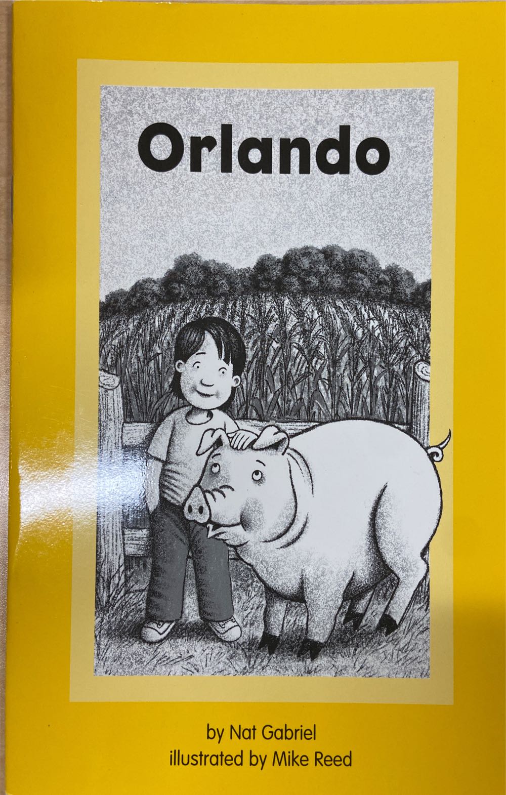 Reading 2000 Phonics Reader 2.14 Orlando