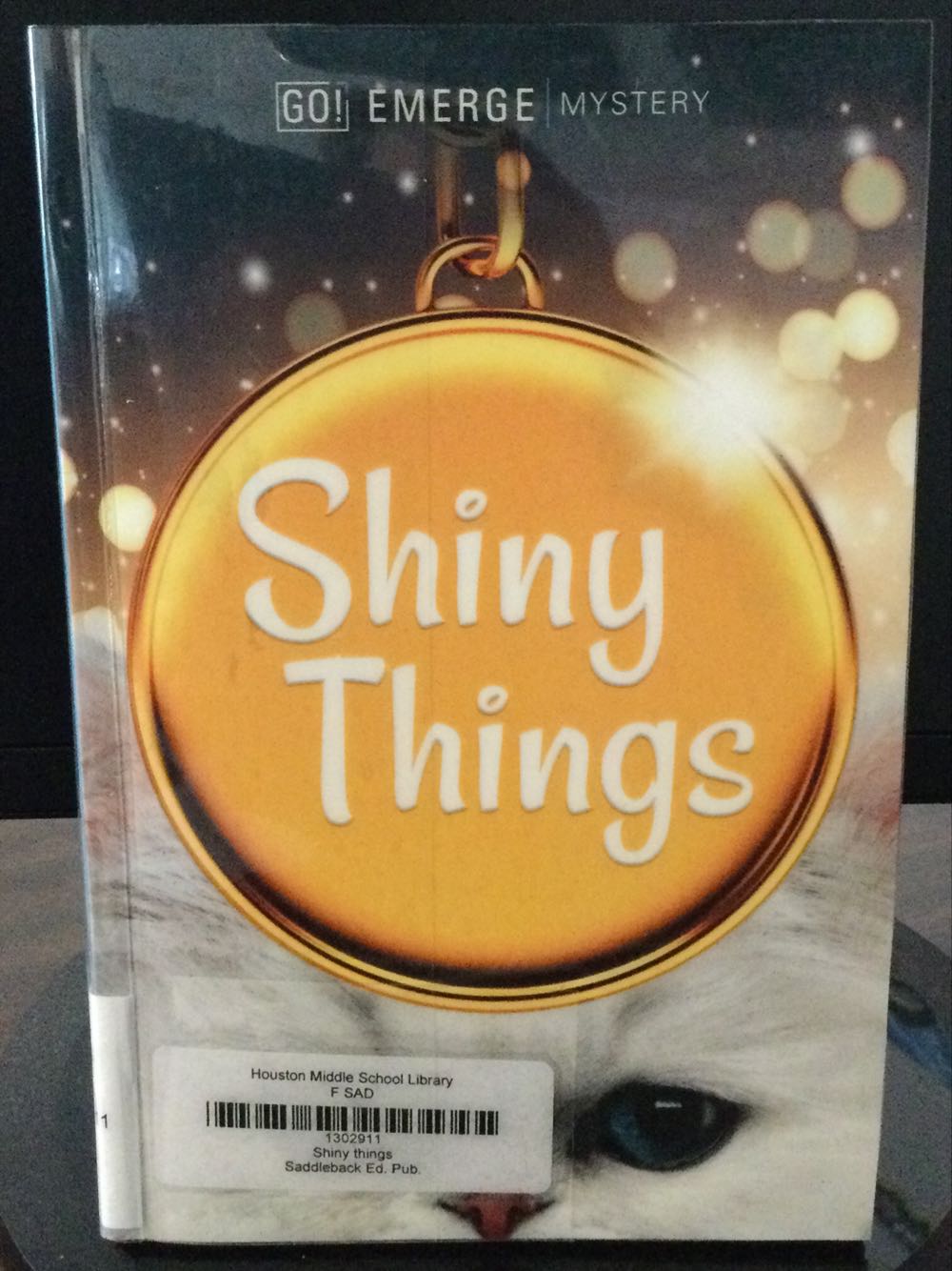 Shiny Things