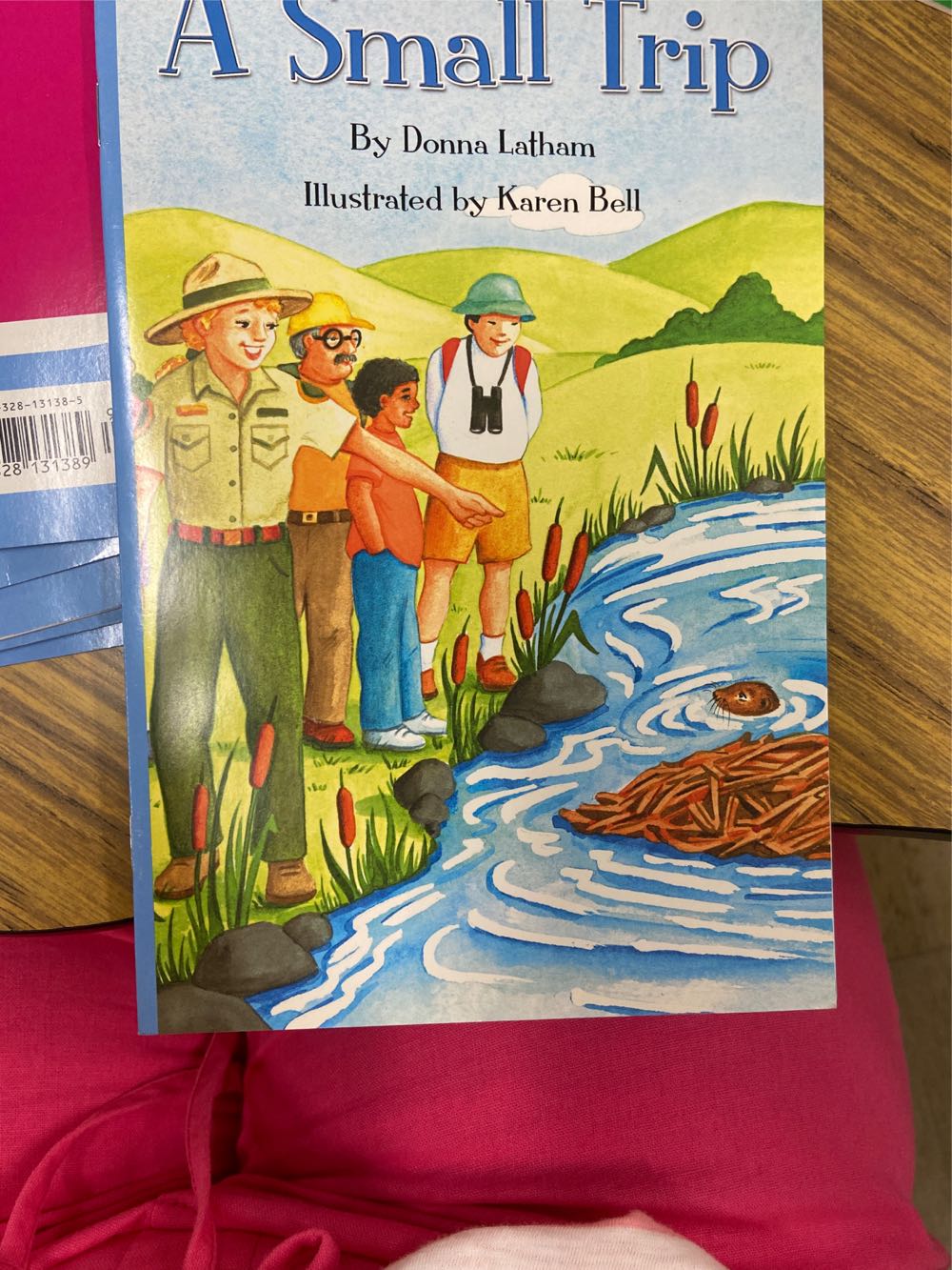 Reading 2007 Independent Leveled Reader Grade K Unit 6 Lesson 3 Advanced