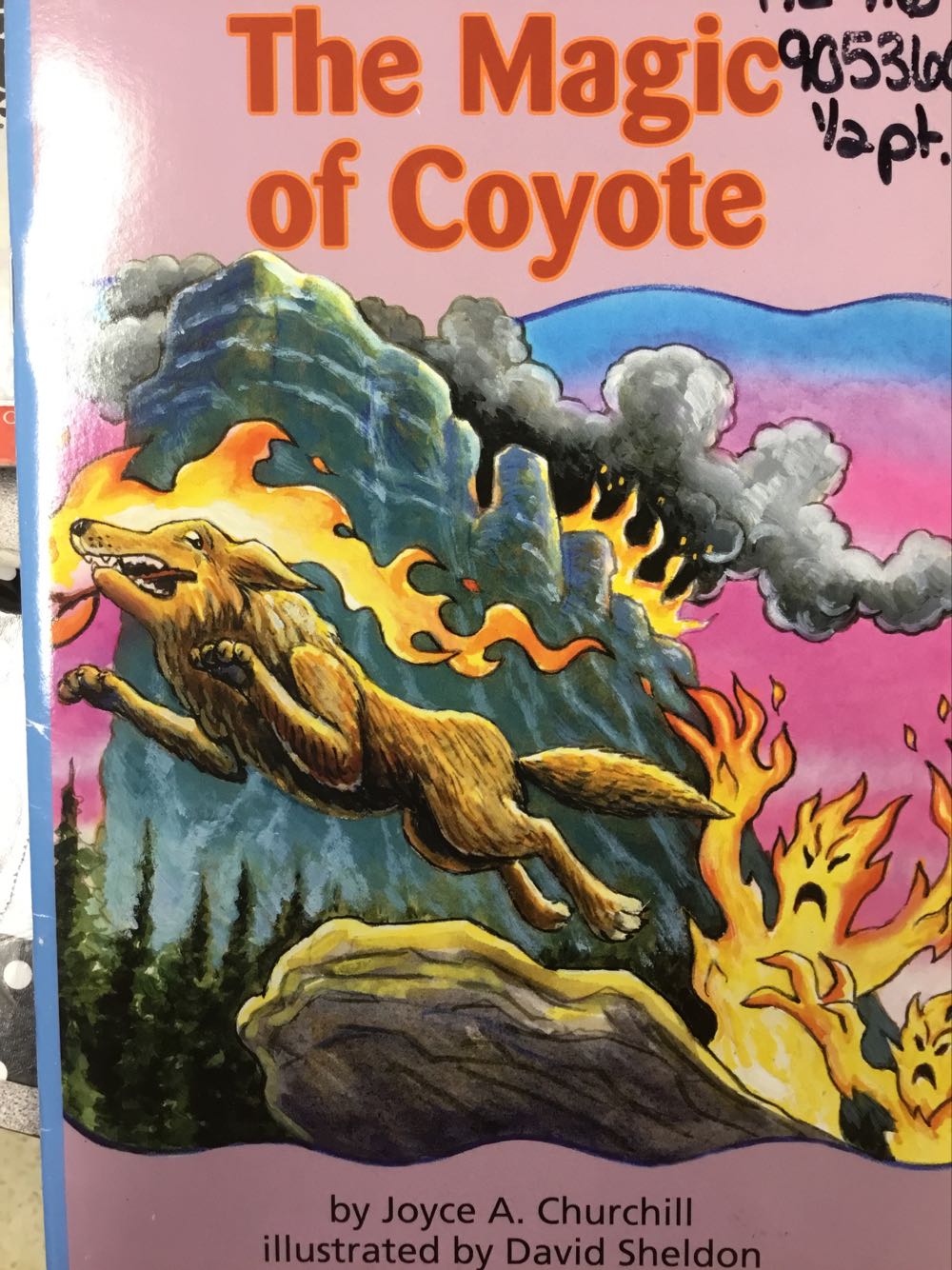 Reading 2007 Leveled Reader Grade 3 Unit 2 Lesson 4 Advanced Advanced