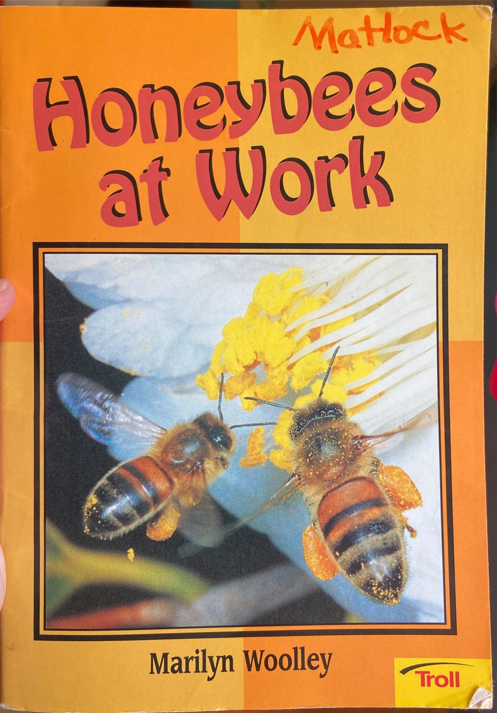 Honeybees at Work