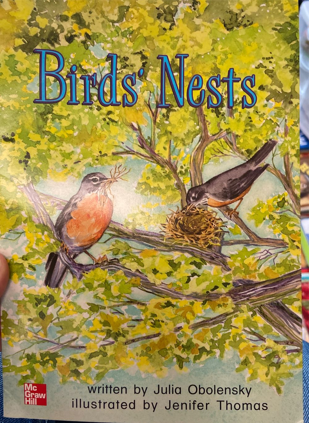 Birds’ Nests - Julia Obolensky book collectible [Barcode 9780021888887] - Main Image 1