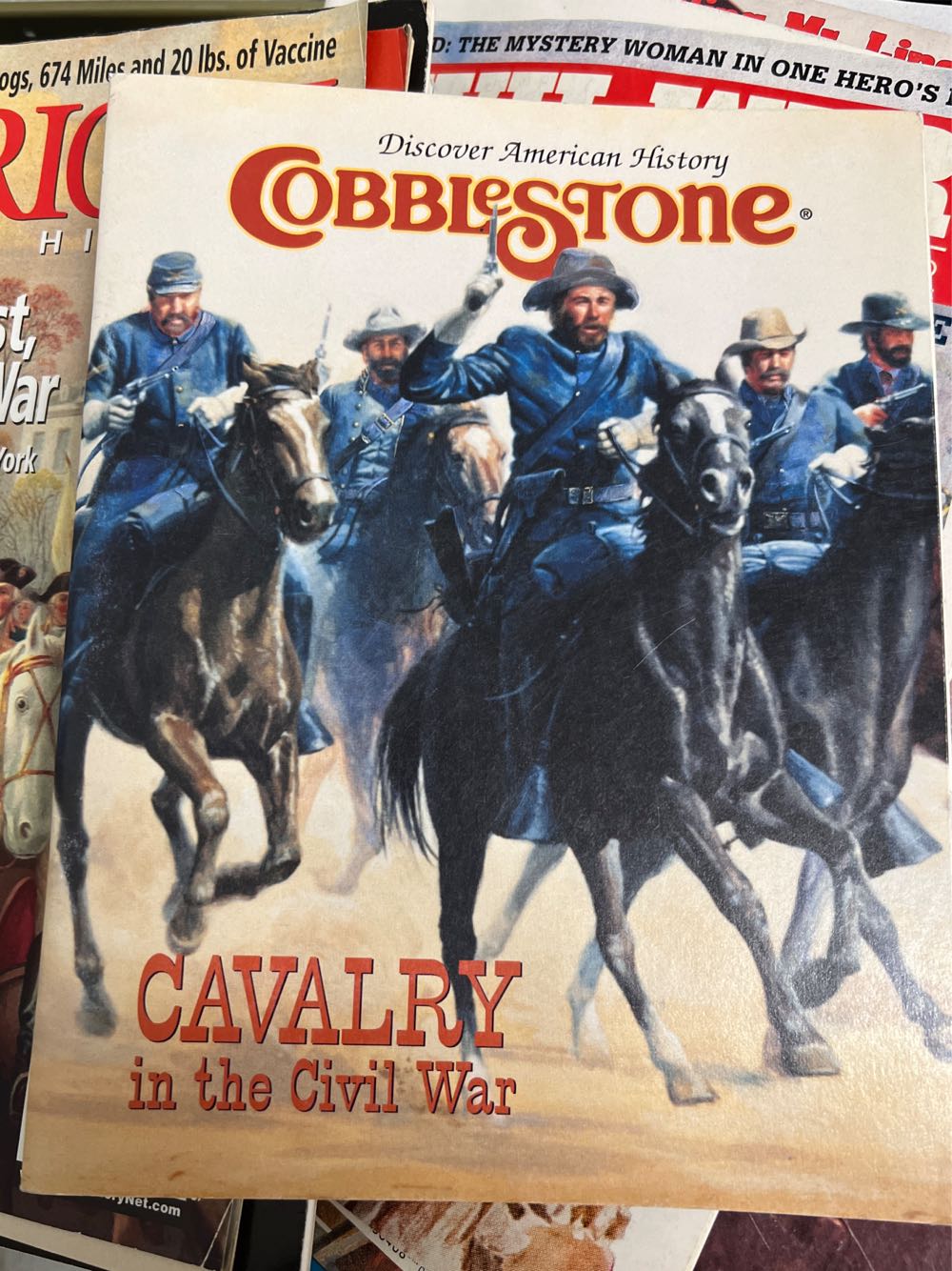 Cavalry In The Civil War