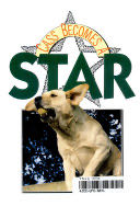 Cass Becomes a Star