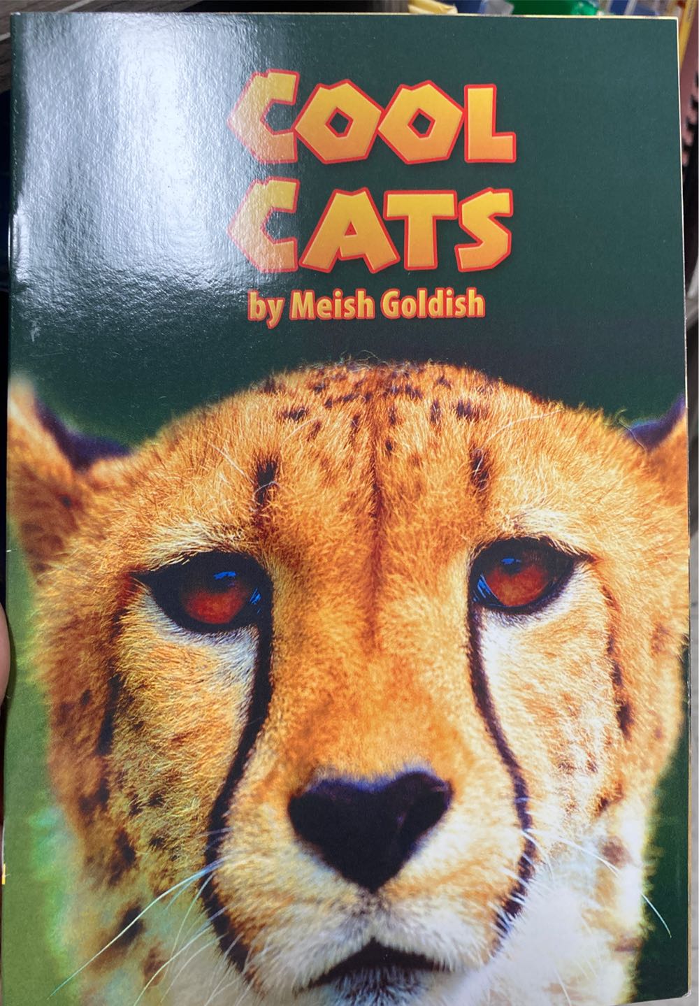 Cool Cats - Meish Goldish book collectible [Barcode 9780022846527] - Main Image 1