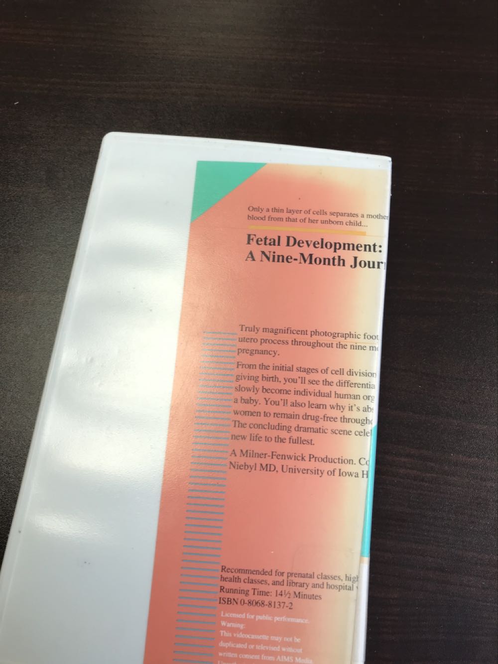 Fetal Dev A 9 Mo Journey