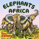 Elephants Of Africa
