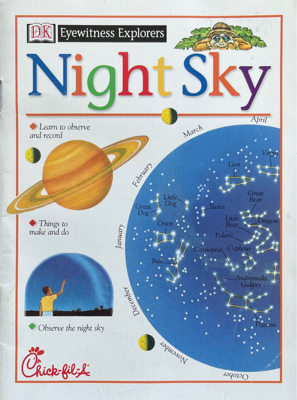 Night Sky