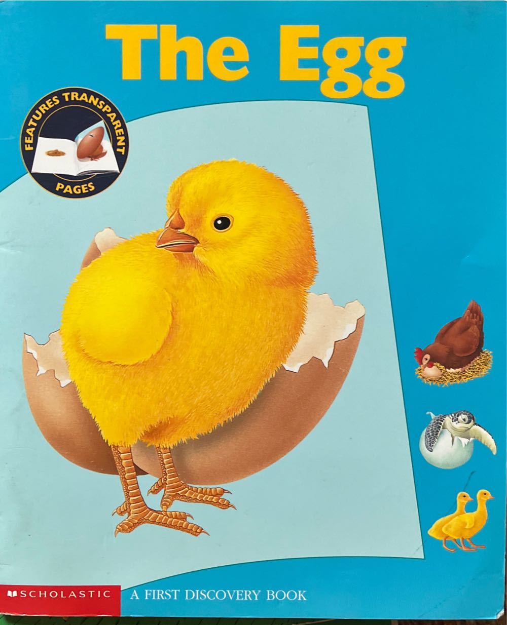 The Egg