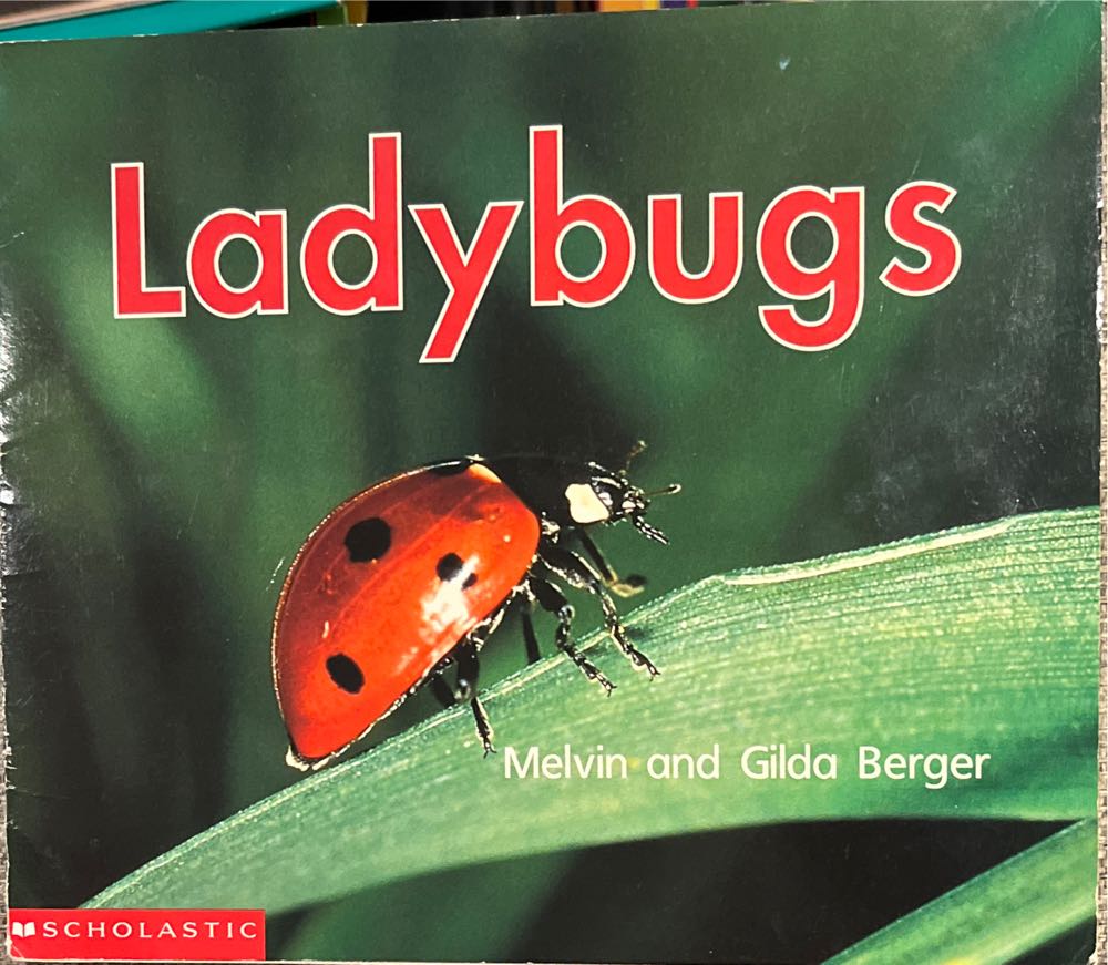 Lady Bugs