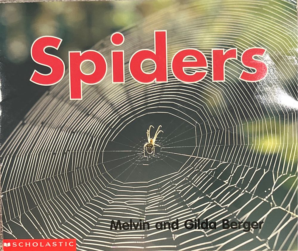 Spiders