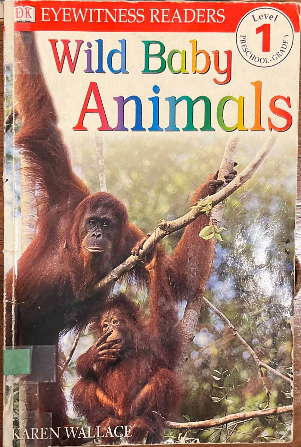 Wild Baby Animals