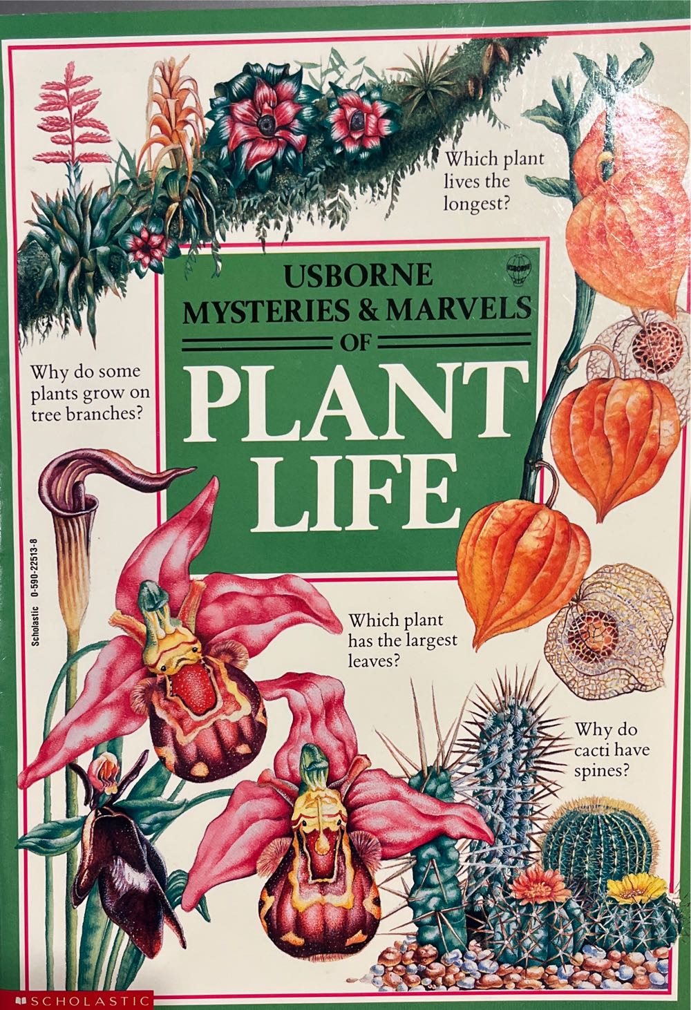 Plant Life