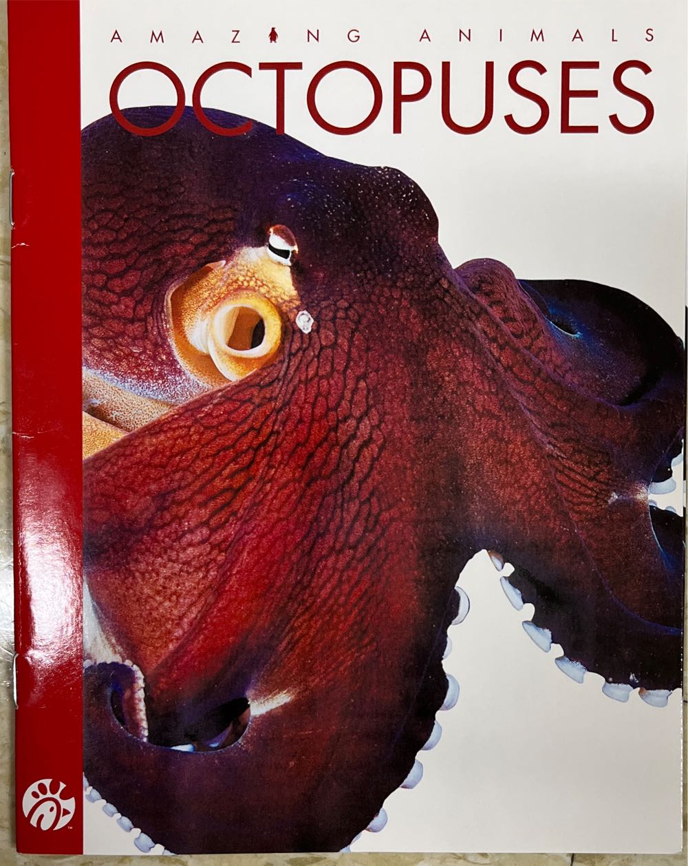 Amazing Animals Octopuses
