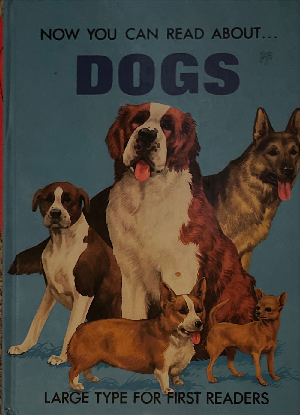 Now You Can Read About Dogs