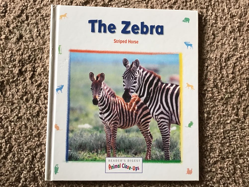 The Zebra Striped Horse