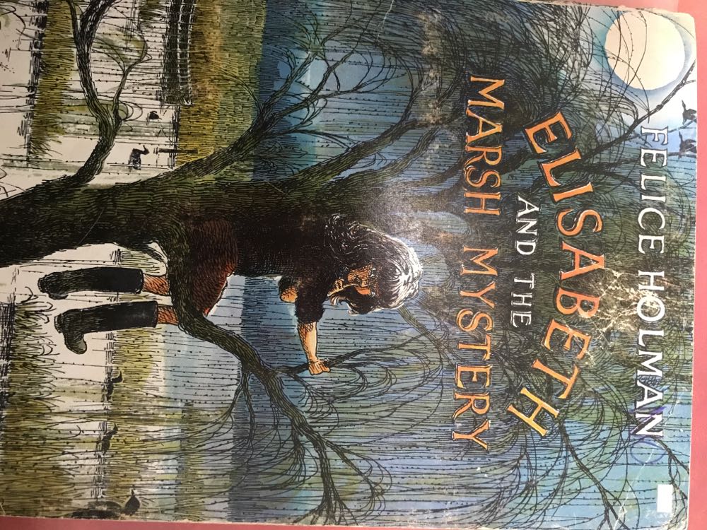 Elisabeth and the Marsh Mystery