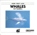 Whales