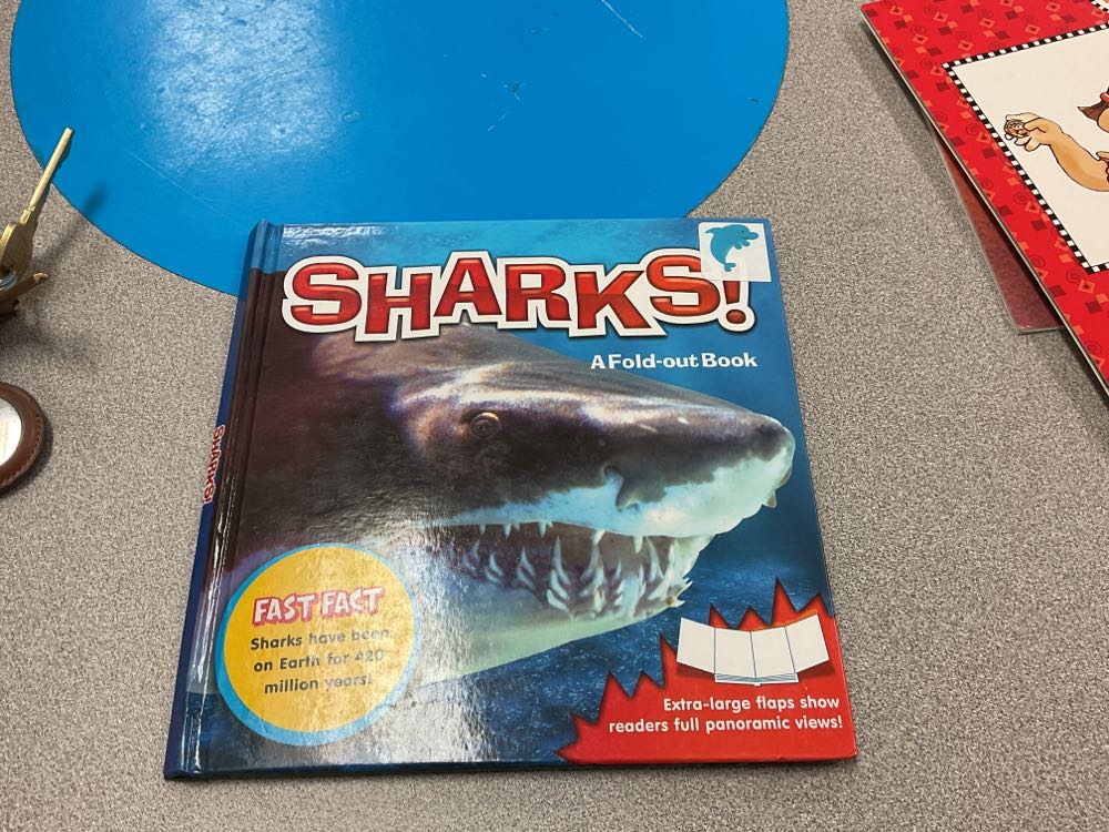 Sharks!