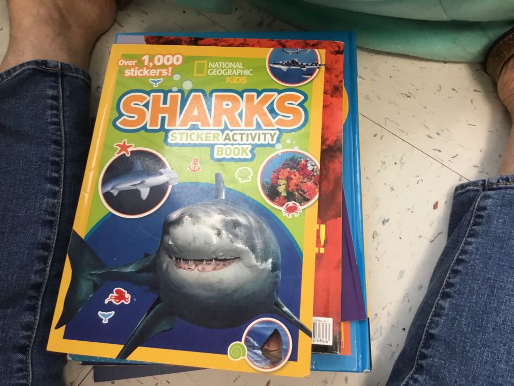 NGK Sharks Sticker Activity Book (Special Sales Edition)