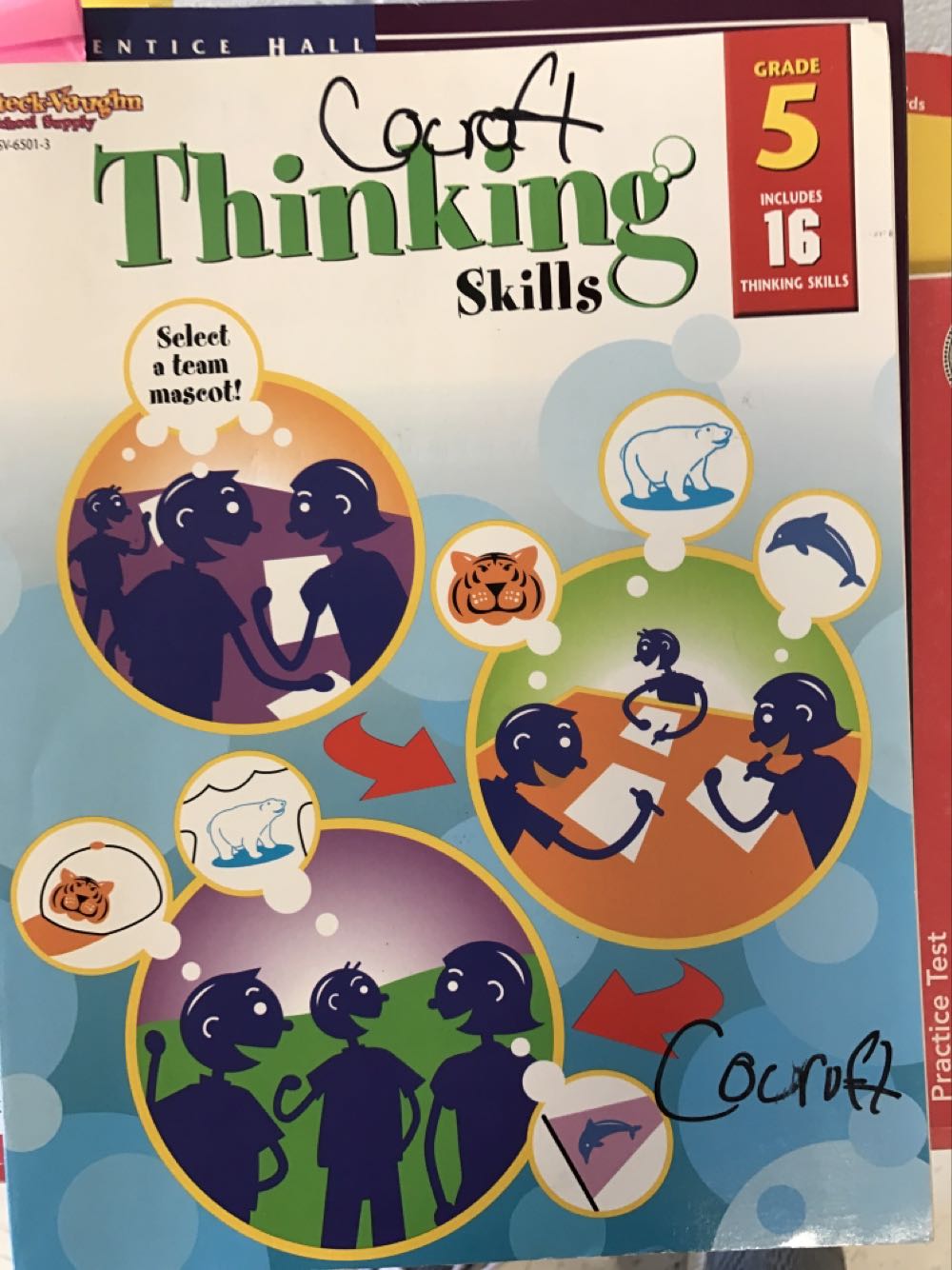 Thinking Skills Gr 5