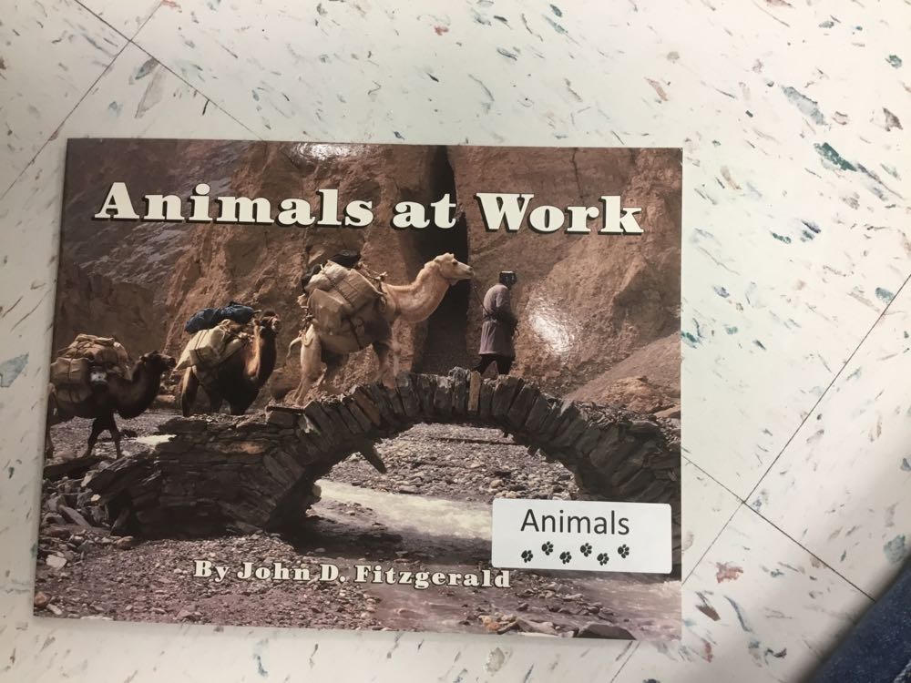 Animals at Work/SSN/Q