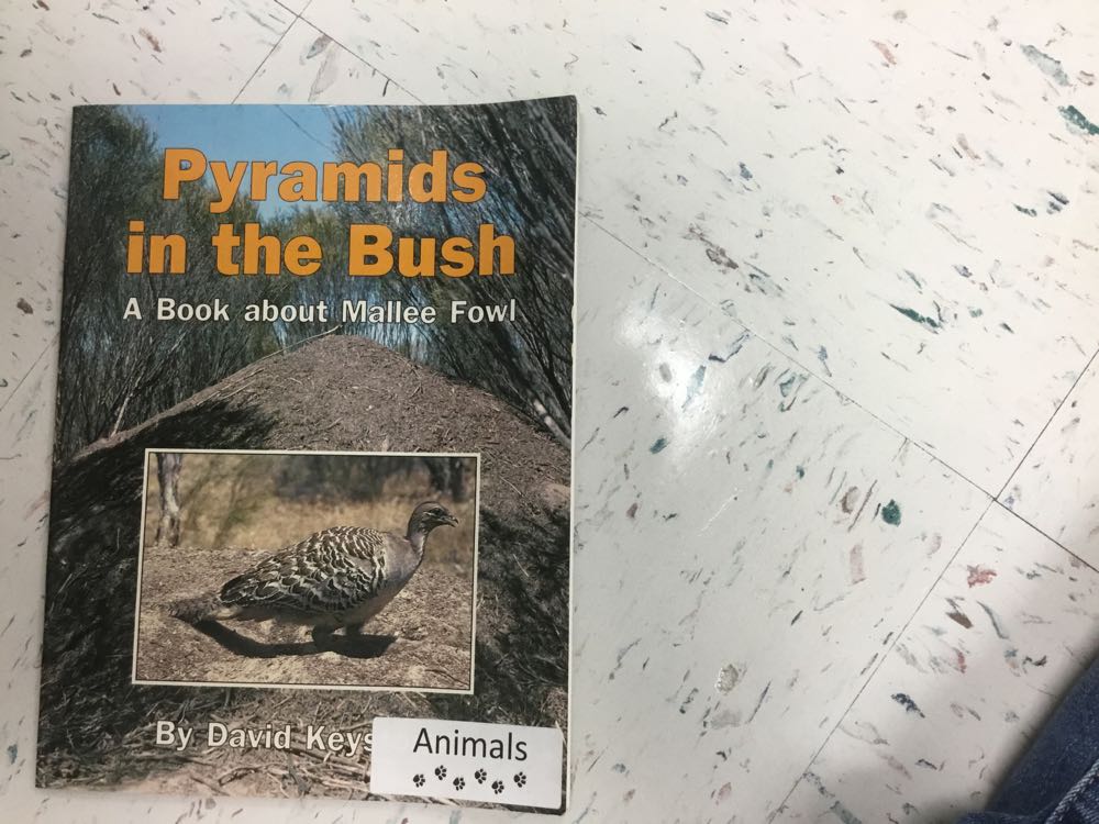 Pyramids in the Bush