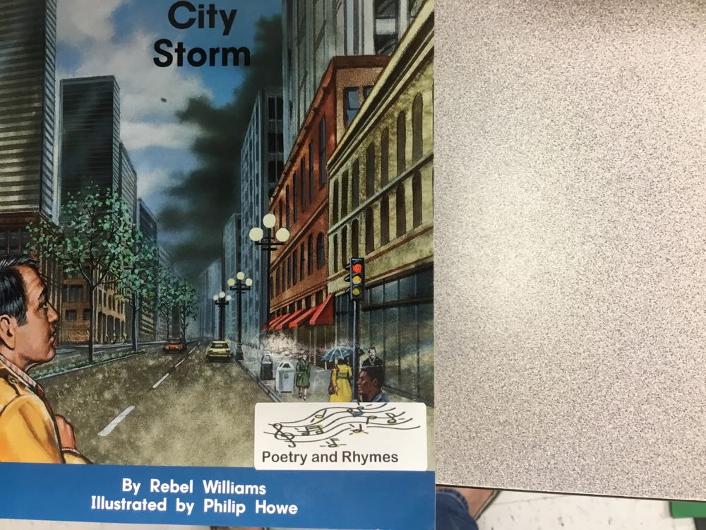 City Storm/TWGN/RT
