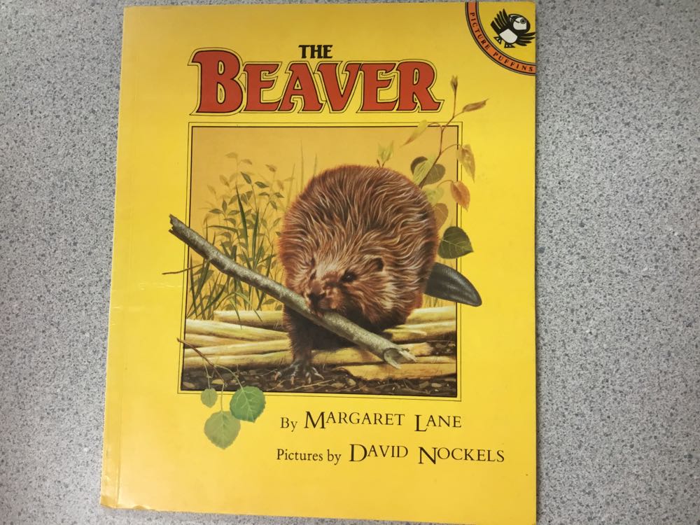 The Beaver