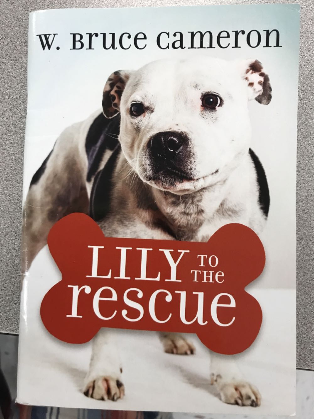 Lily to the Rescue