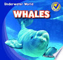 Whales